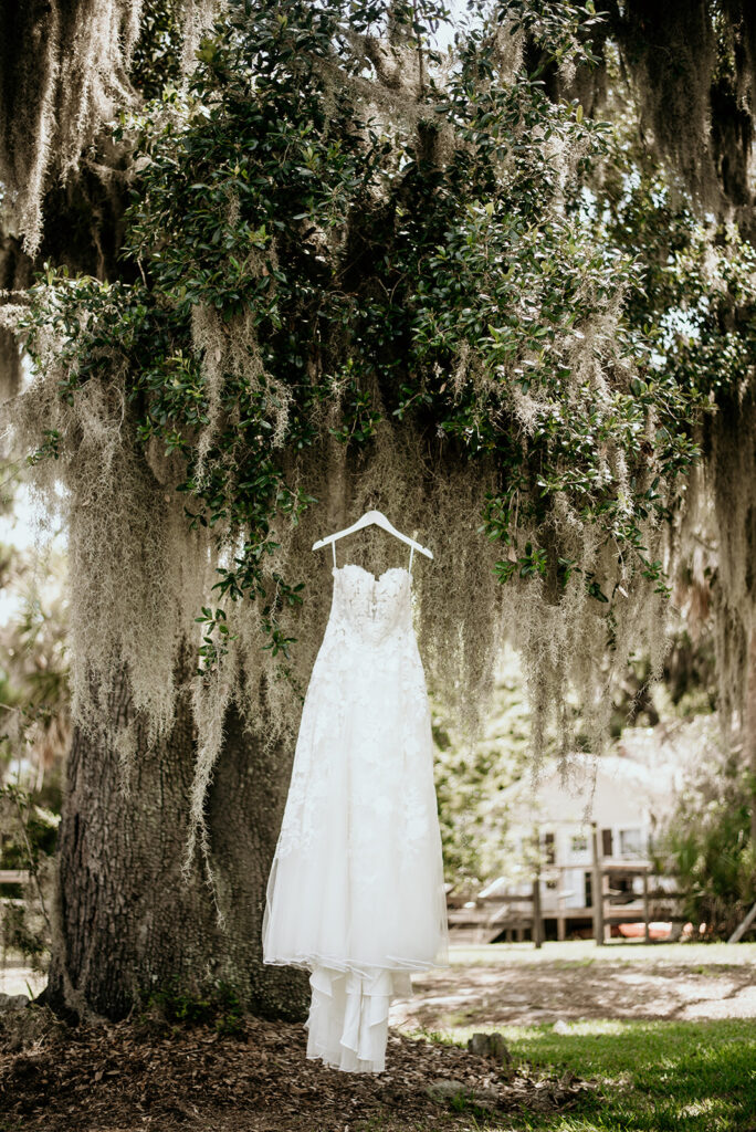 wedding dress hanging in a tree in Saint Simons Island Georgia