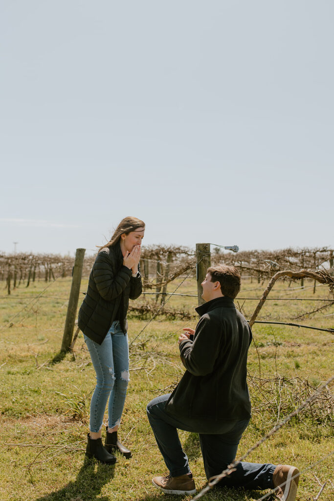 surprise proposal at chateau elan